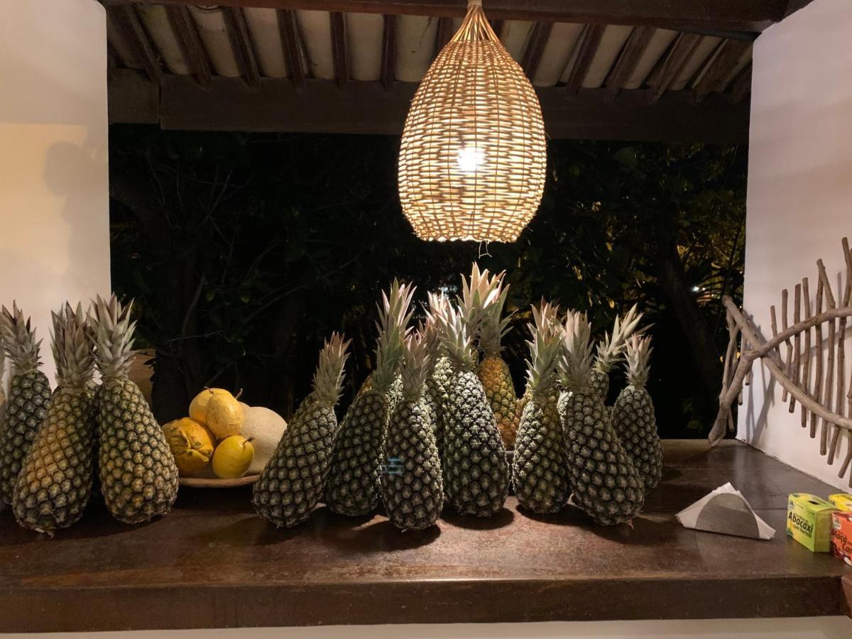 Pousada Tartaruga Boutique Hotel Praia de Pipa Eksteriør billede